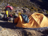 Kilimandžáro - Arrow Glacier Camp, Tanzanie