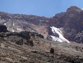 Kilimandžáro - Arrow Glacier Camp, Tanzanie