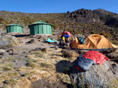 Kilimandžáro - Arrow Glacier Camp, Tanzanie