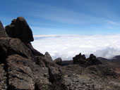 Kilimandžáro - Arrow Glacier Camp, Tanzanie