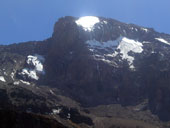 Kilimandžáro - Arrow Glacier Camp, Tanzanie