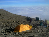 Kilimandžáro - Arrow Glacier Camp, Tanzanie