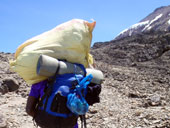 Kilimandžáro - Arrow Glacier Camp, Tanzanie