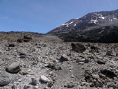 Kilimandžáro - Arrow Glacier Camp, Tanzanie