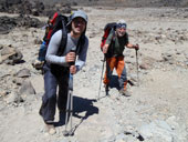 Kilimandžáro - Arrow Glacier Camp, Tanzanie