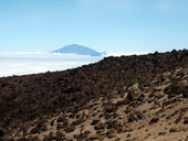 Kilimandžáro - Arrow Glacier Camp, Tanzanie