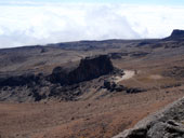 Kilimandžáro - Arrow Glacier Camp, Tanzanie