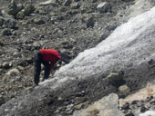 Kilimandžáro - Arrow Glacier Camp, Tanzanie