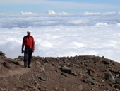 Kilimandžáro - Arrow Glacier Camp, Tanzanie