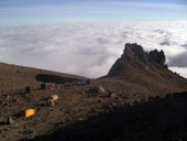 Kilimandžáro - Arrow Glacier Camp, Tanzanie