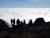 Kilimandžáro - Arrow Glacier Camp, Tanzanie