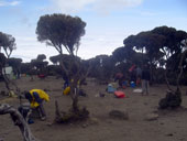 Uhuru Peak (5895m), Kilimandžáro, Tanzanie