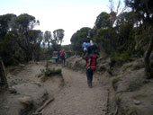 Uhuru Peak (5895m), Kilimandžáro, Tanzanie