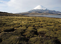 Parinacota (6348m), Chile