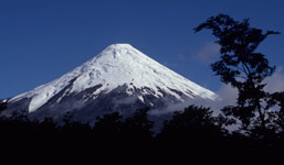 Národní park Vicente Pérez Rosales, Chile