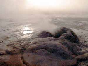 Geysers El Tatio (4300m), Chile, 5. 2. 2006