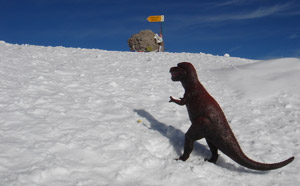 Vláďův expediční maskot 'Tyránek' na vrcholu Elbrusu, Rusko, 24. července 2009.