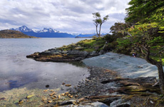 Příroda Ohňové země, Ushuaia, Argentina