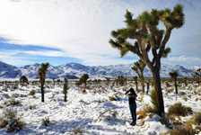 Joshua Tree Národní park