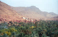 Zelené údolí na březích řeky Todra, Maroko