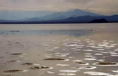 Laguna Llancanelo, Argentina