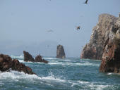 Islas Ballestas, Pisco a Nasca, Peru