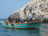 Islas Ballestas, Pisco a Nasca, Peru