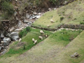 Cuzco, Machu Picchu a procházka Posvátným údolím, Peru