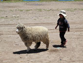 Jezero Titicaca a La Paz, Peru - Bolívie