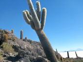 Altiplano, Bolívie - Chile