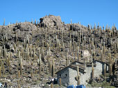 Altiplano, Bolívie - Chile