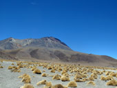 Altiplano, Bolívie - Chile