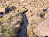 Arica a Národní park Lauca, Chile