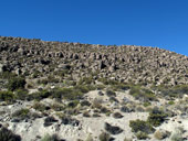 Arica a Národní park Lauca, Chile