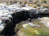 Arica a Národní park Lauca, Chile