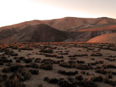 Arica a Národní park Lauca, Chile