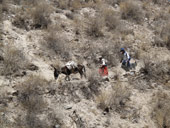 Arequipa a kaňón Colca, Peru