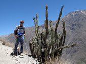 Arequipa a kaňón Colca, Peru