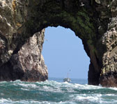 Islas Ballestas, Peru