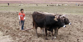 Ocotuan, Peru