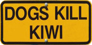 Dogs Kill Kiwi, Nový Zéland