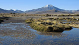 Říčka Mocomocone a na obzoru Cerro Capitán (5098m), Chile