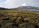 Parinacota (6348m), Lauca, Chile