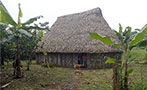 Společenská budova ve vesnici kmene Siona, Cuyabeno, Ekvádor