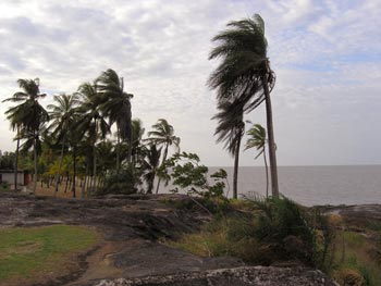 Pobřeží poblíž Kourou, Francouzská Guyana.